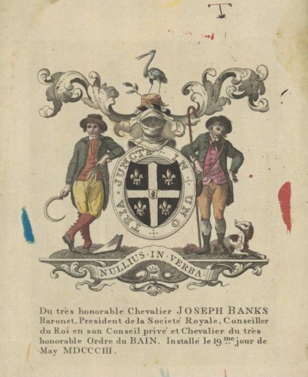 A hand-coloured engraving of the arms of Sir Joseph Banks.