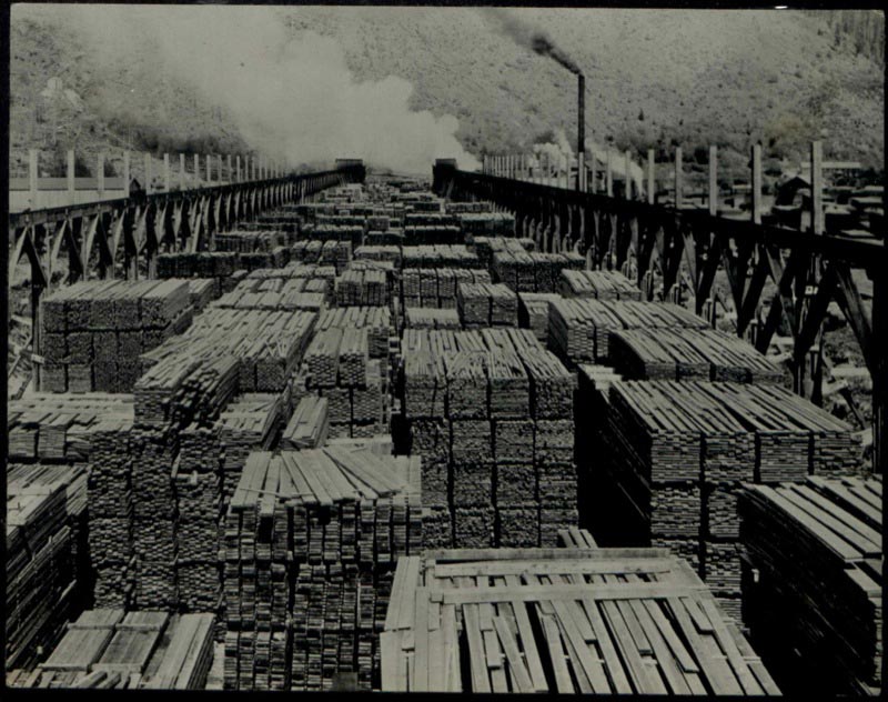British Columbia timber, stacked and awaiting export. Photograph from file INF 10/85.