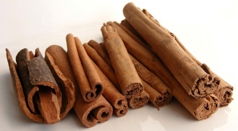 Four types of cinnamon, the two furthest to the right are from Sri Lanka. 