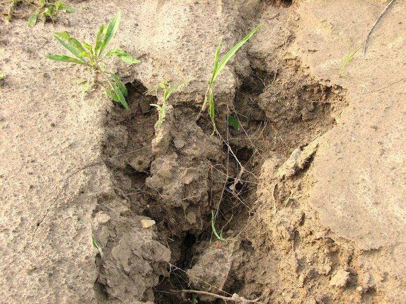 Example of soil erosion. 
