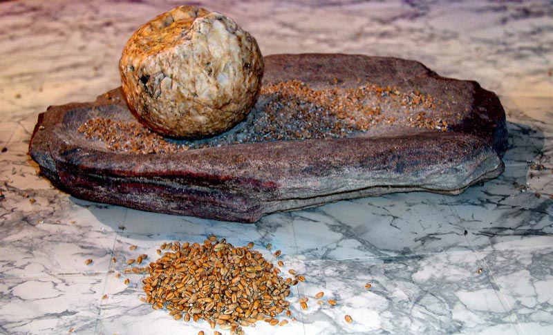 A Neolithic grindstone for processing grain. 