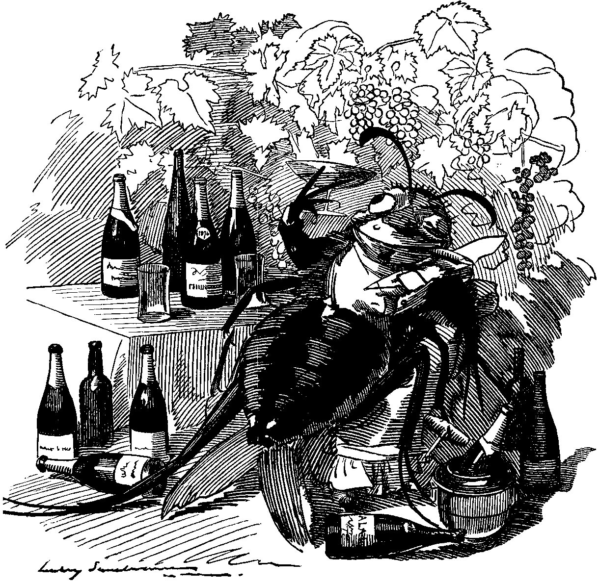 The phylloxera, a true gourmet, finds out the best vineyards and attaches itself to the best wines. From Punch September 6, 1890, page 110. 