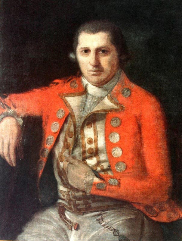 Portrait of Colonel Robert Jacob Gordon in the uniform of commander of the garrison at the Cape.