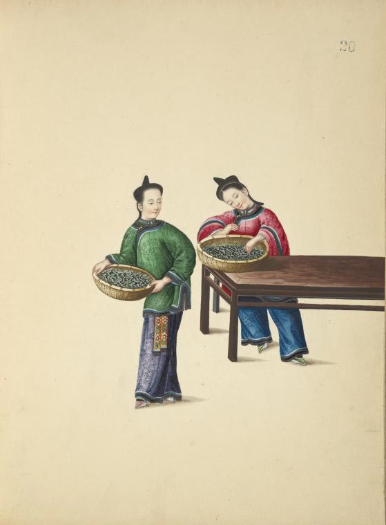 Women with baskets of silkworms.