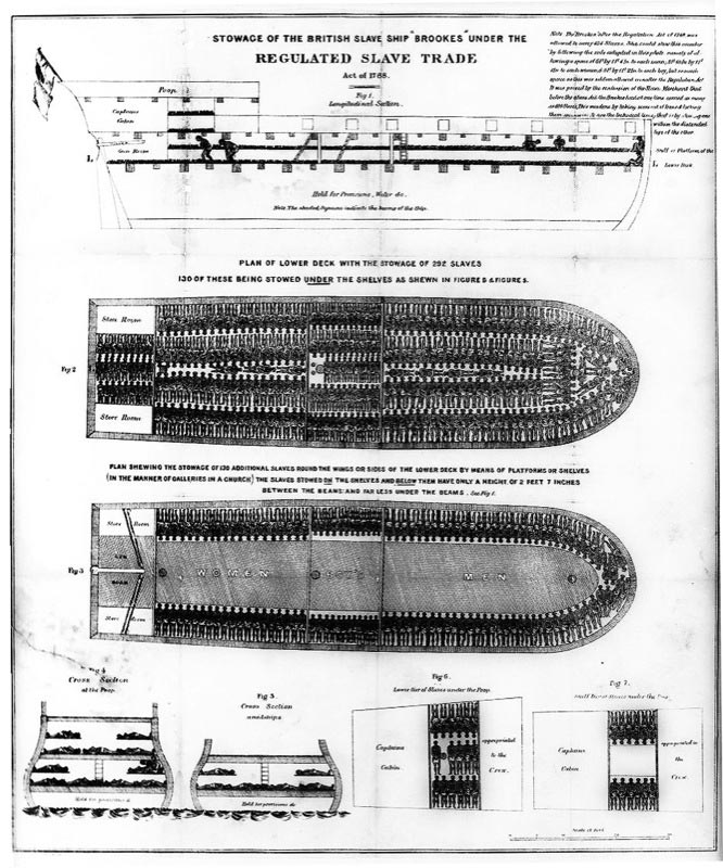 Stowage of the British slave ship Brookes under the regulated slave trade act of 1788.