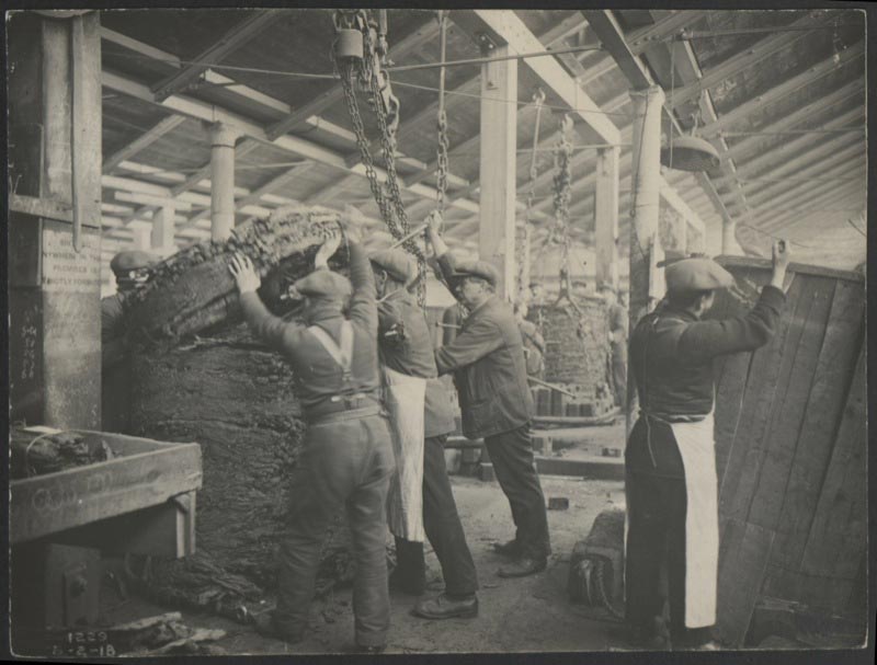 Tobacco-weighing at Liverpool docks. Photograph from MDHB/original prints/box 1. 