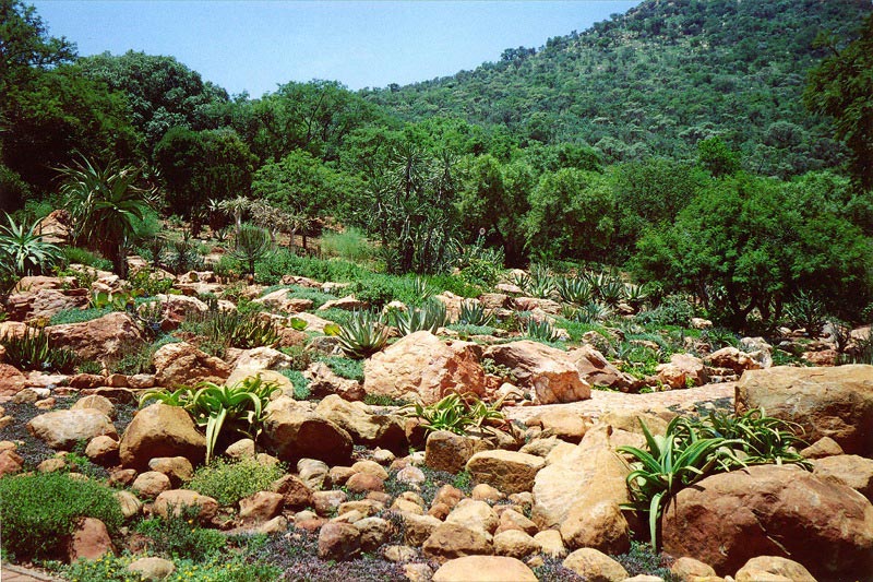 Landscape of the Witwatersrand National Botanical Gardens in 2003.