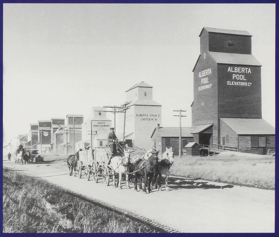 Horse-drawn carts transport grain from Alberta Wheat Pool elevators in 1923.