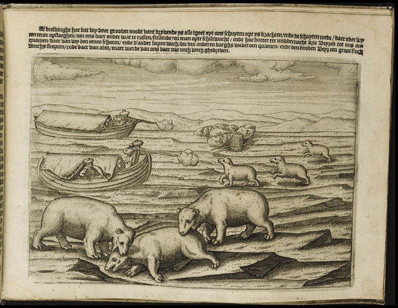 Dutch seamen shooting Polar bears.