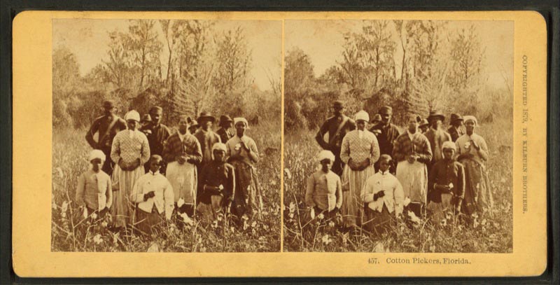 Cotton pickers, Florida.