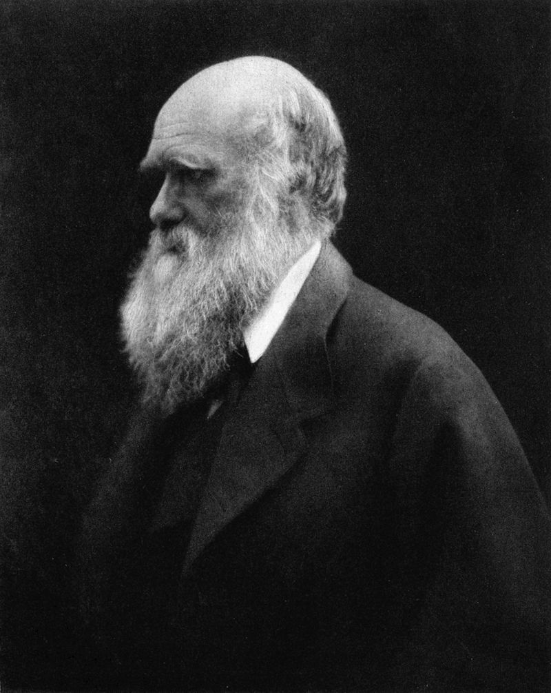 Photograph of Charles Darwin by Julia Margaret Cameron (1868)