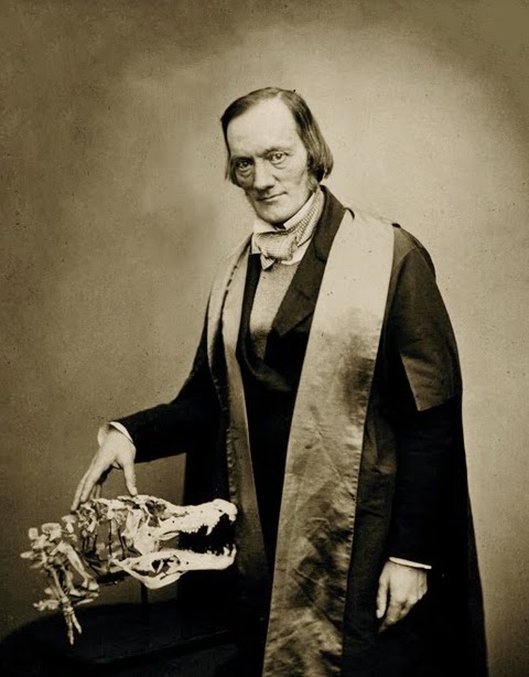 Portrait of Richard Owen with a crocodile skull (1856)