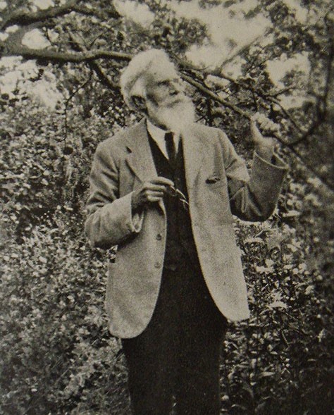 Havelock Ellis.